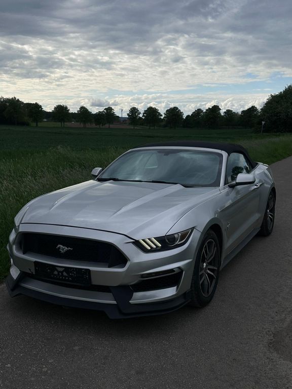Mustang