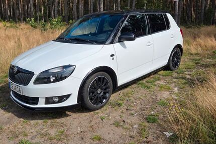Skoda Fabia 138.500 km 22.222 € Hambühren 29313