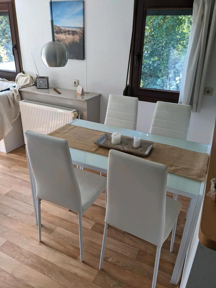 Geräumiges und geplegtes TinyhausMobilheim