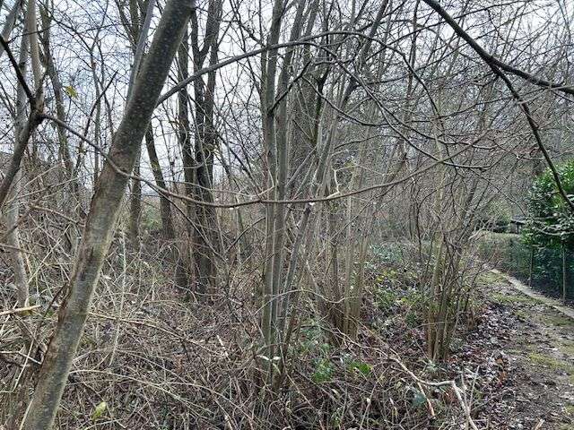 Grundstück zu verkaufen in Barsinghausen 178.000 € 831 m² zimmer