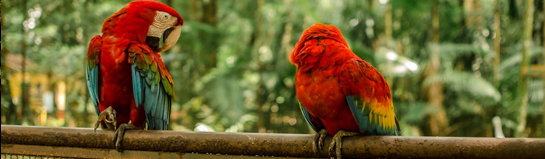Erlebnis-Zoo Hannover