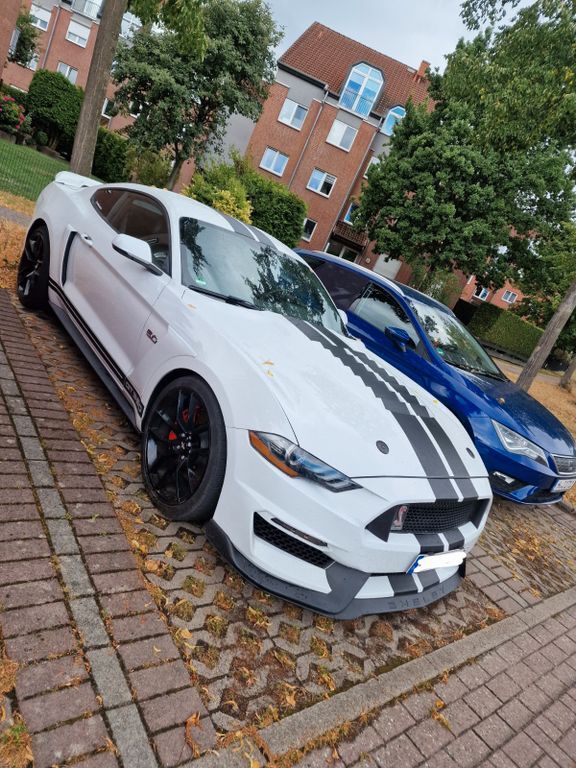 Mustang