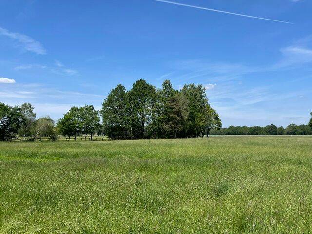 Bungalow Langenhagen Kaltenweide - 4 Zimmer, 126 m&sup2;, 620.000&euro; | Angebot:26787520