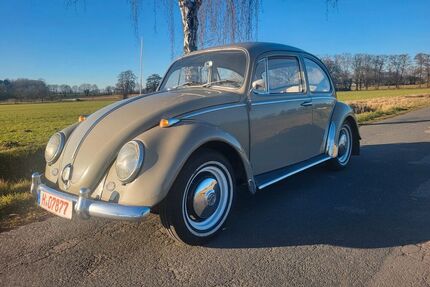 VW Käfer