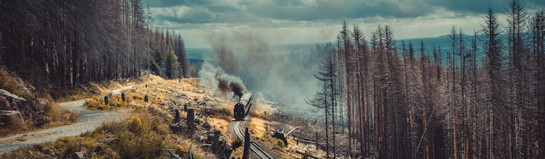 Dampfbahn im Harz (Brockenbahn)