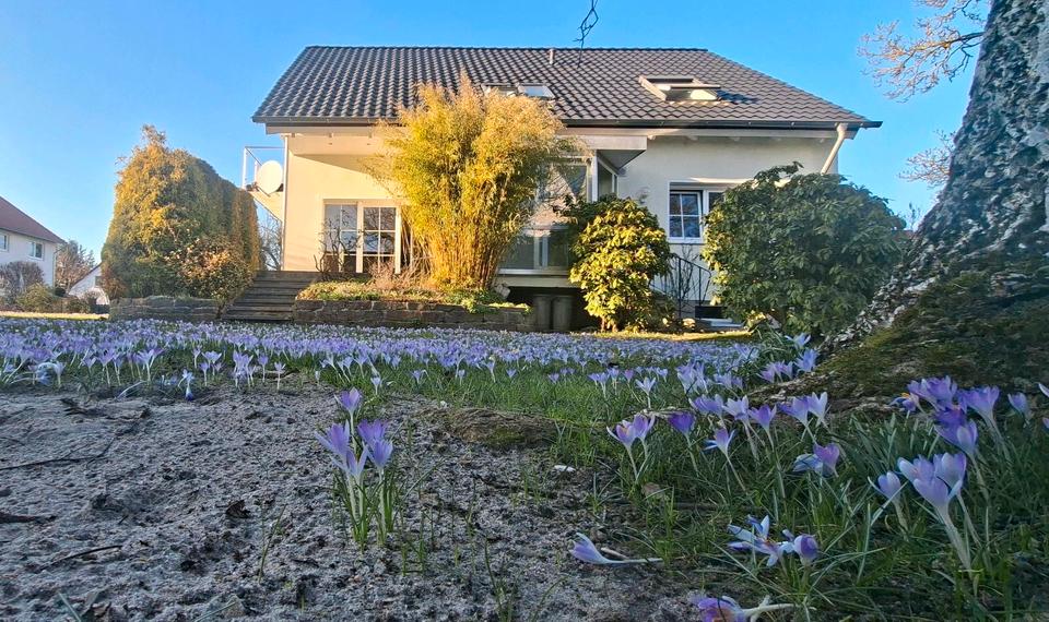 Einfamilienhaus Wennigsen (Deister) - 6 Zimmer, 165 m&sup2;, 2.000&euro; | Angebot:24842689