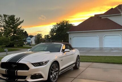 Ford Mustang 81.500 km 32.200 € Neustadt a. Rbge. 31535