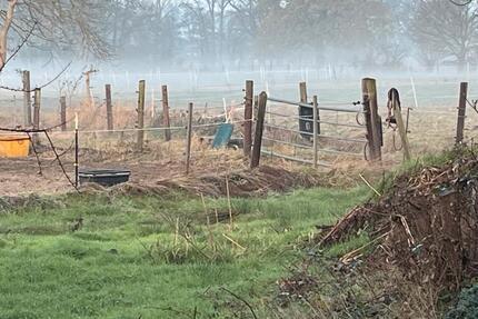 Großzügige 3 Zimmer Dachgeschosswohnung Engelbostel, Schulenburg 3 zimmer