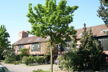 Haus Burgdorf Sorgensen - 5 Zimmer, 125 m&sup2;, 1.379&euro; | Angebot:26851912