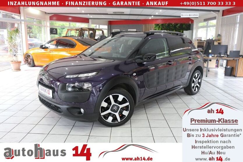 C4 Cactus