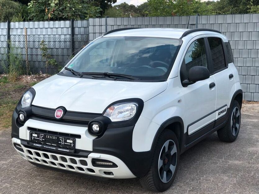 Panda