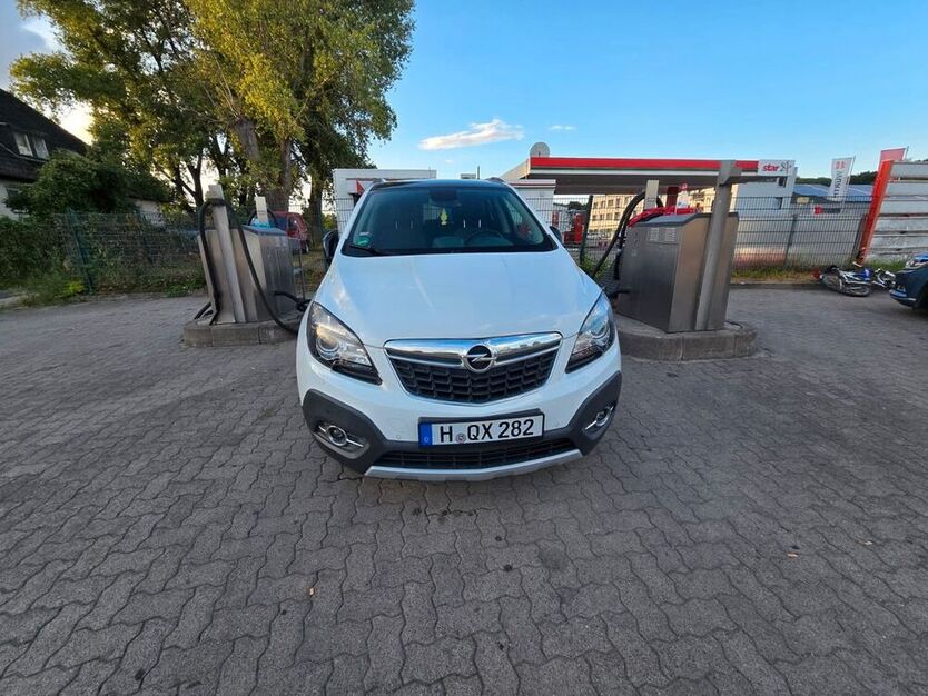 Mokka