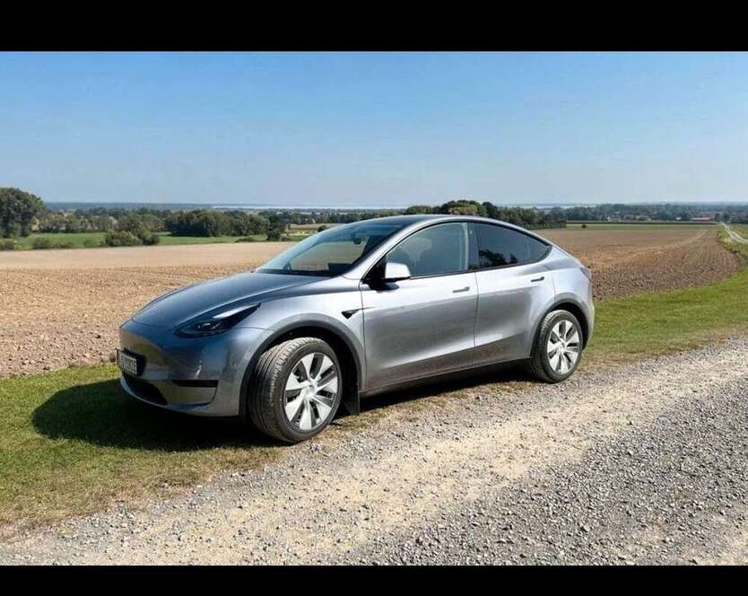 Model Y