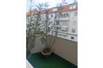 Etagenwohnung Hannover Vahrenwald-List - 1 Zimmer, 25 m&sup2;, 40&euro; | Angebot:26545039
