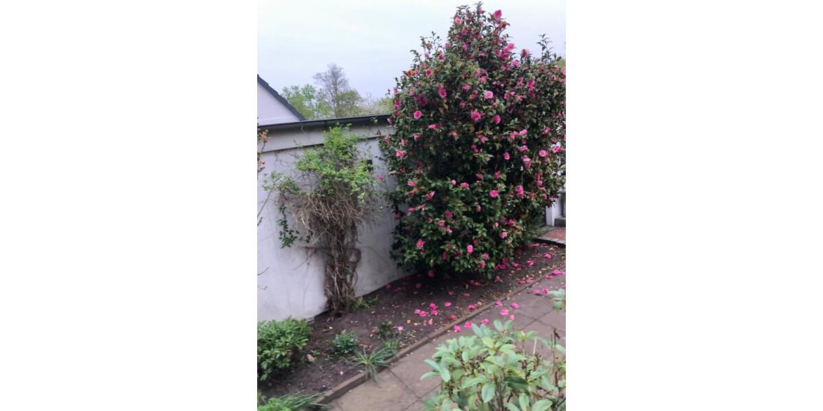 Doppelhaushälfte Hannover Misburg-Anderten - 7 Zimmer, 135 m&sup2;, 358.000&euro; | Angebot:24351632