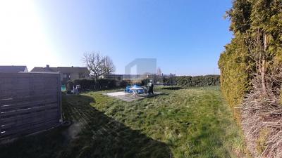 TOP MIT RIESEN GARTEN