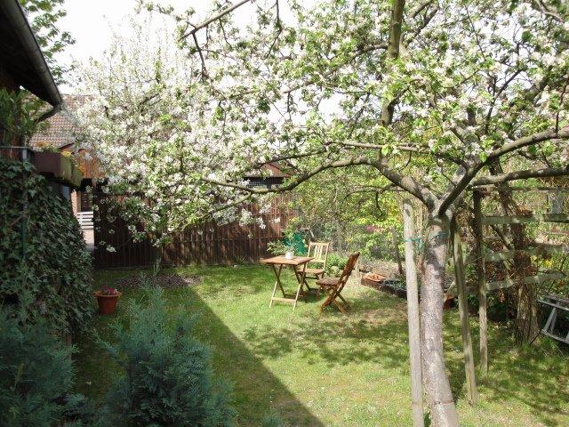 Dachgeschoßwohnung Barsinghausen - 3 Zimmer, 74 m&sup2;, 600&euro; | Angebot:26602535