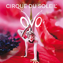 Cirque du Soleil - OVO 05.03.2027 ZAG arena