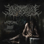 Lorna Shore