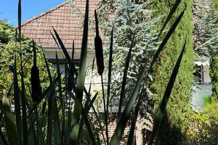 Haus zum Kaufen in Barsinghausen 479.000 € 203 m² 7 zimmer