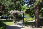 Etagenwohnung Hannover Bothfeld-Vahrenheide - 3 Zimmer, 75 m&sup2;, 195.000&euro; | Angebot:26762056