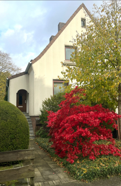 Charmantes Haus in der Heidesiedlung - ein Zuhause in bester Lage zimmer