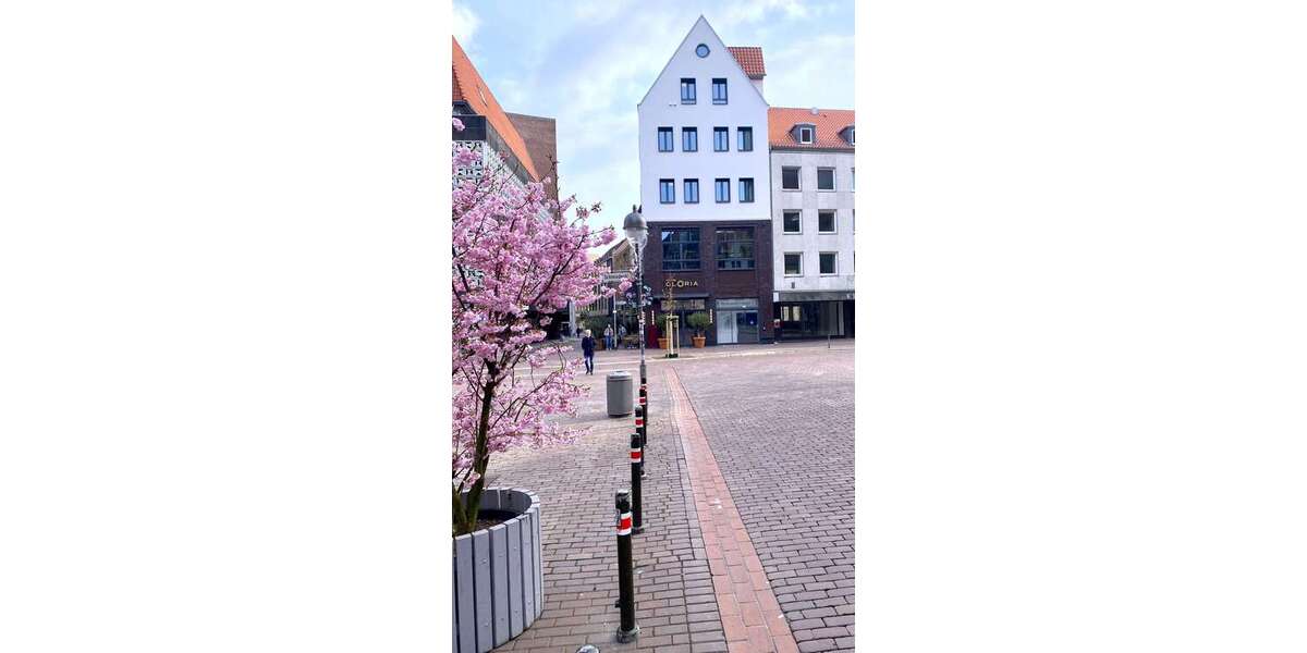 Einfamilienhaus Hannover Mitte - 4 Zimmer, 110 m&sup2;, 3.950.000&euro; | Angebot:26459678