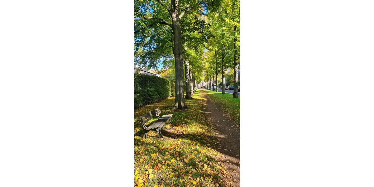 Etagenwohnung Sehnde - 2 Zimmer, 68 m&sup2;, 790&euro; | Angebot:25198596