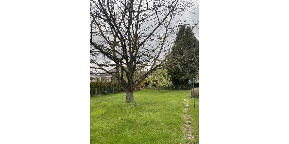 Mehrfamilienhaus, Wohnhaus Bad Nenndorf - 1 Zimmer, 198 m&sup2;, 398.000&euro; | Angebot:26128223