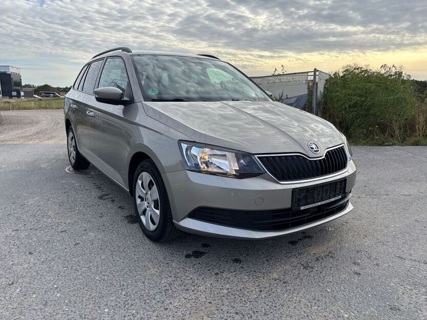 Skoda Fabia 99.980 km 7.600 € Burgdorf 31303
