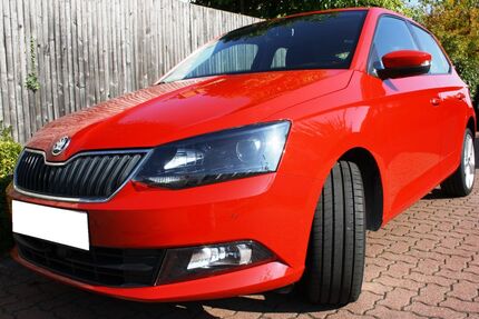 Skoda Fabia 168.508 km 7.300 € Hemmingen bei Hannover 30966