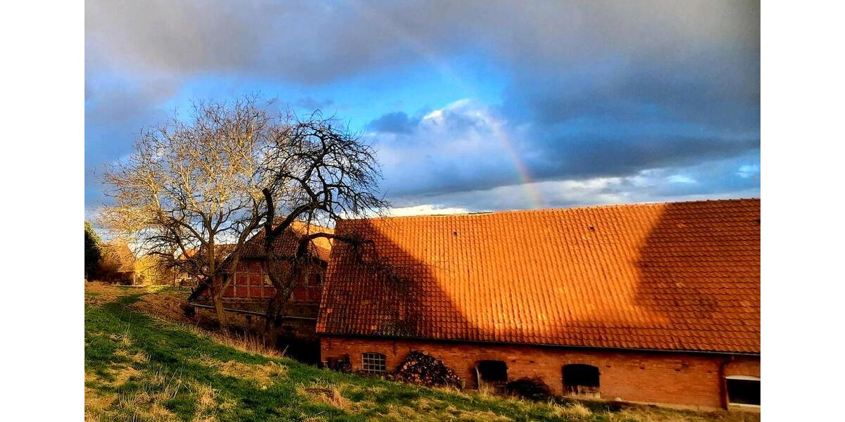 Etagenwohnung Springe - 2 Zimmer, 62 m&sup2;, 600&euro; | Angebot:25569986