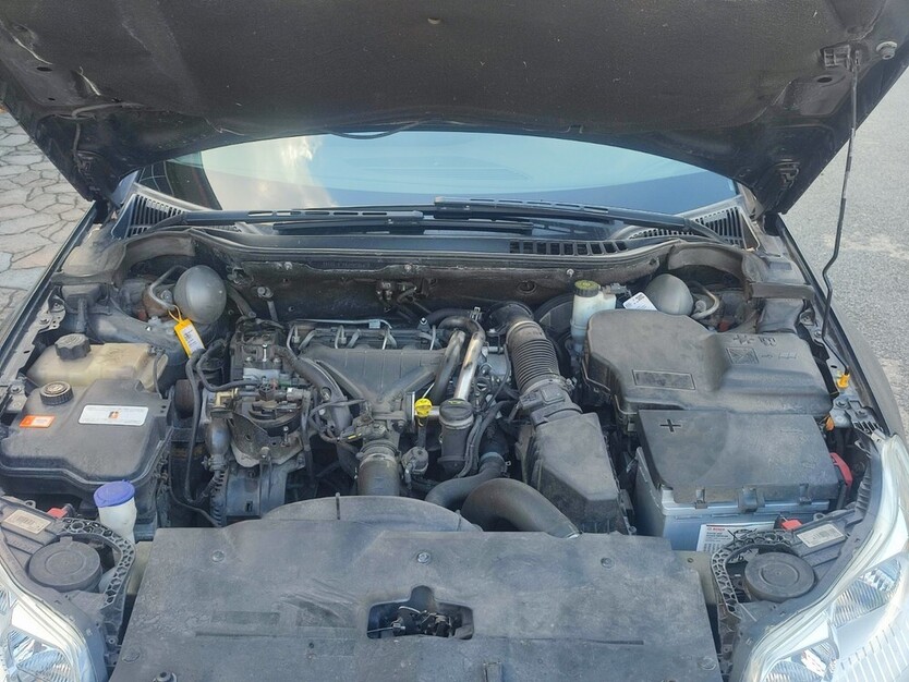 C5