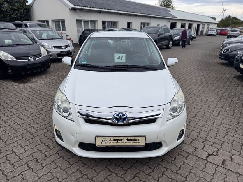 Auris