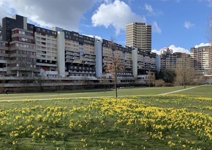 Renovierte 1-Zi.-Whg. über den Dächern Lindens 1 zimmer