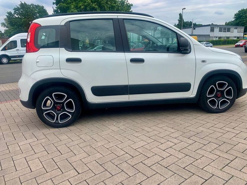Panda