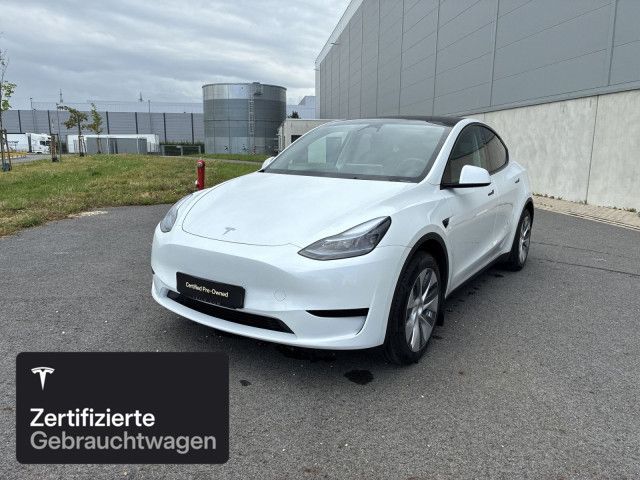 Model Y