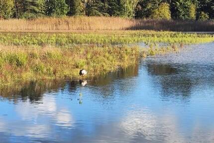 Grundstück Burgwedel Kleinburgwedel - 99.000&euro; | Angebot:22920882