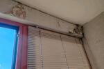 Etagenwohnung Hannover Vahrenwald-List - 1 Zimmer, 40 m&sup2;, 49.000&euro; | Angebot:26241884