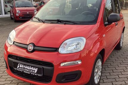 Fiat Panda 45.867 km 9.950 &euro; Harsum 31177
