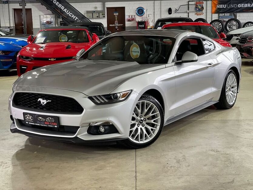 Mustang