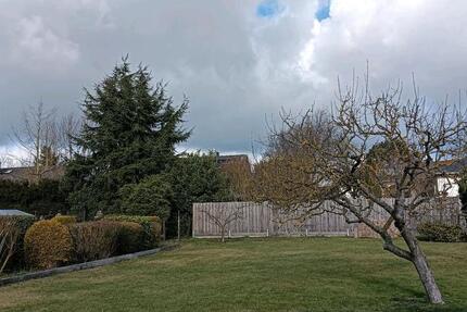 Wohnung Laatzen - 3 Zimmer, 150 m&sup2;, 750&euro; | Angebot:25365330